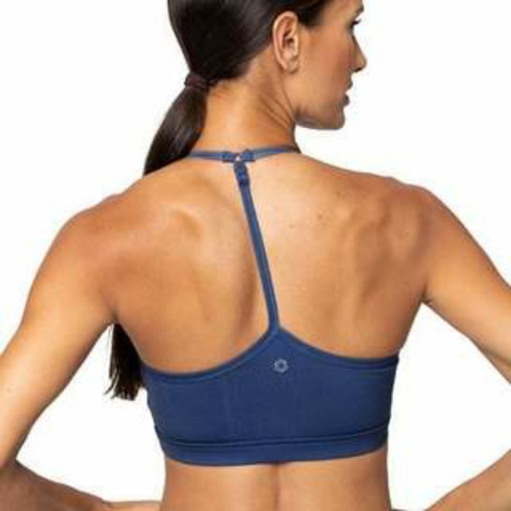 AR-33 Zion Ocean Fade Bra Top - Large